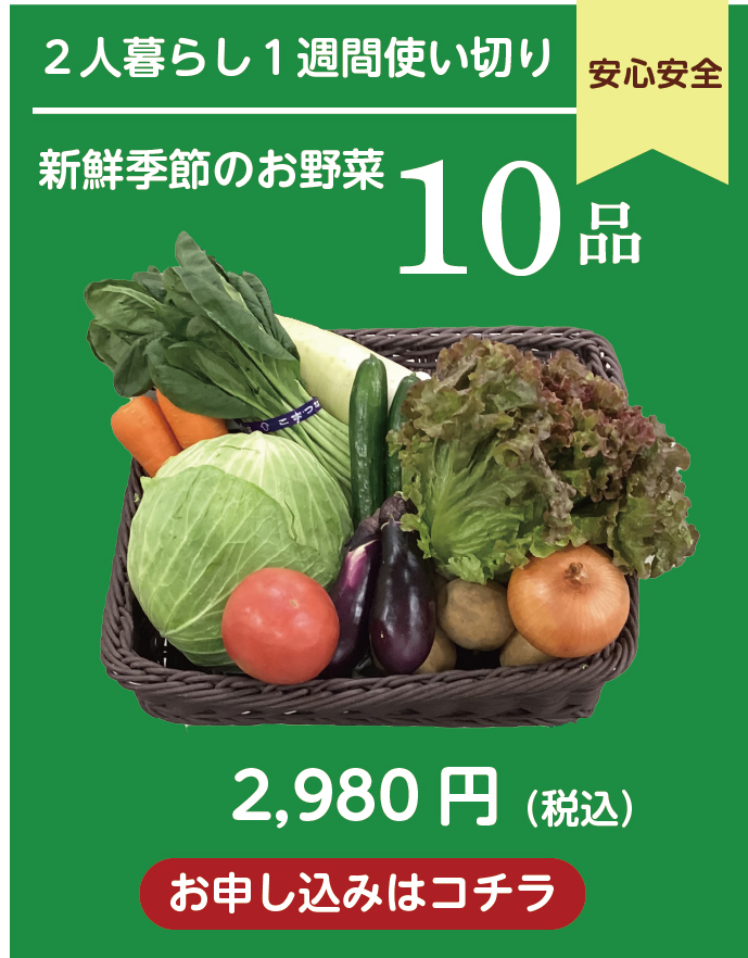 野菜セットのお申し込みはこちら。２人暮らし１週間使い切り。10品送料込み税込2980円