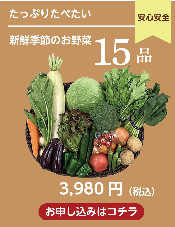 野菜セットのお申し込みはこちら。4人以上のご家族におすすめ。15品送料込み税込3980円