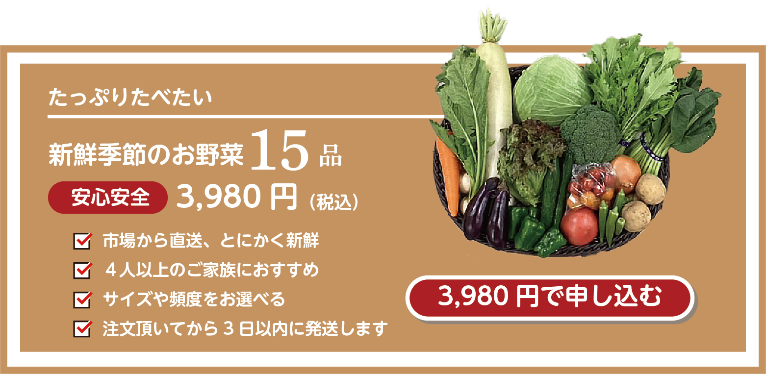野菜セット。4人以上のご家族におすすめ。15品送料込み税込3980円